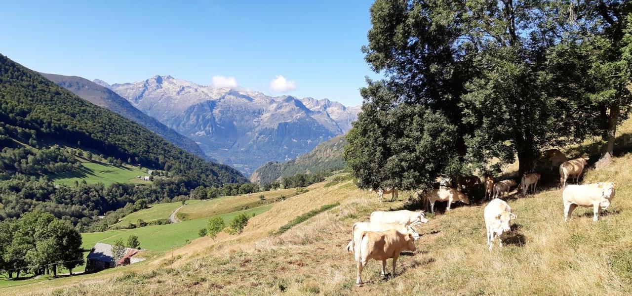 Hotel La Montagne Fleurie バレージュ エクステリア 写真