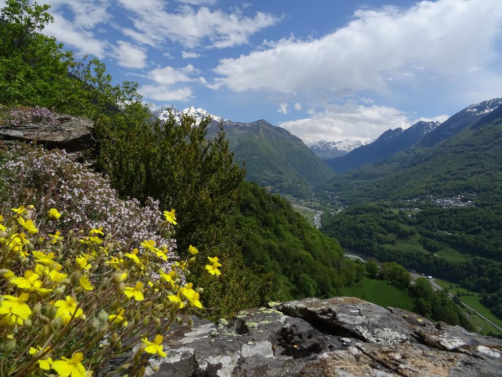 Hotel La Montagne Fleurie バレージュ エクステリア 写真